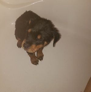 Meet your Posher, Ciara